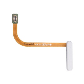 FLEX CON LECTOR DE HUELLAS...